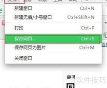 浏览器抓取图片技巧大全