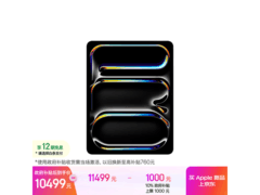 Apple 13 Pro平板钜惠到手10441元