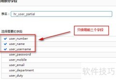 数据展示工具字段使用技巧