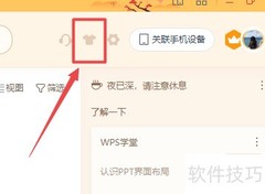 WPS炫彩图标更换教程