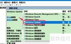 Win10 20H2 Beta更新指南