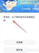 哪种海洋生物爱晒太阳？