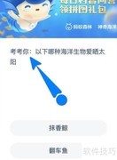 哪种海洋生物爱晒太阳？