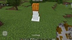 我的世界：移动版刷怪蛋召唤末影龙