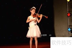 小提琴选购指南