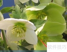 如何快速设置宽带拨号