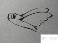 卡通飞鱼绘画教程