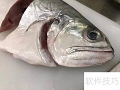 飞鱼家常做法，鲜美又简单