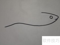 简笔画教程：轻松画飞鱼
