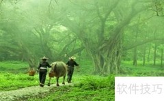 旅游服务业的机遇把握