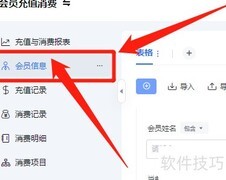 WPS会员消费记录创建指南