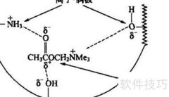 非药学专业一次过四科秘诀