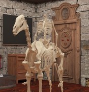 Escape Room：幽灵城堡通关攻略