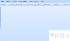 Database Master连接Firebird指南