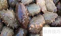 海参专卖价格优惠钜惠