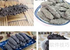 海参专卖价格优惠钜惠