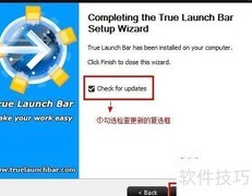 True Launch Bar 安装指南