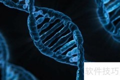 维持DNA双螺旋稳定的关键作用力