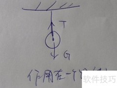 相互作用力与平衡解析
