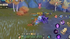 梦幻西游三维版：高效升级攻略