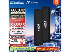 英睿达Pro 32GB DDR5内存京东优惠购
