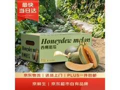 端午特惠！京鲜生3粒装西州蜜哈密瓜，满89减30.2