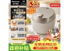 Panasonic小元煲电压力锅限时特惠
