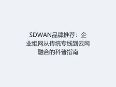 SDWAN品牌推荐：企业组网从传统专线到云网融合的科普指南