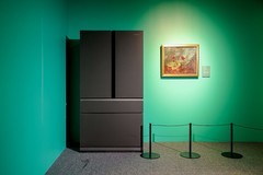 卡萨帝成为美景宫百年花绘真迹展“首席艺术生活方式伙伴”