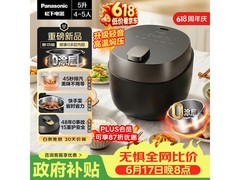 Panasonic小元煲5L电压力锅