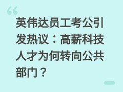 英伟达员工考公引发热议：高薪科技人才为何转向公共部门？