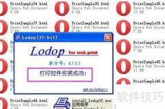 LODOP打印控件安装指南