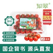 京鲜生串串樱桃小番茄，满减优惠后 21.9 元两盒！