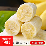 京喜加广西小米蕉2斤装仅13.9元，新鲜现摘速抢！