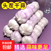 高品质山东精装出口蒜促销，3.89 元带回家！