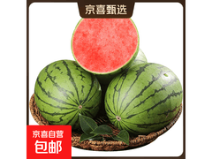 夏日特惠！2K小糖丸西瓜整箱仅6.9元，脆甜易剥
