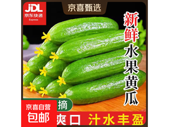 山东新鲜水果黄瓜2斤到手1.7斤，仅3.9元速抢！
