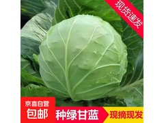 寿光绿甘蓝带箱5斤，满减后4.99元速来抢！