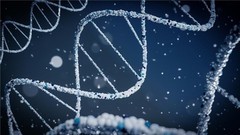 从实验实践到学术竞争：先理知学定制化服务助力阿德莱德大学全奖博士录取