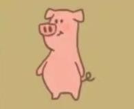 动物餐厅四位顾客攻略