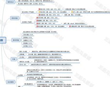 航海王：战国暴力输出流解析