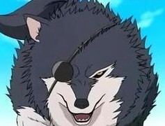 火影忍者：141-145忍考攻略