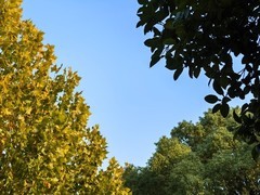 冷暖雨雪早知道！冬日出差安全感都是华为天气给的