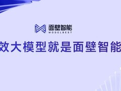 面壁智能完成数亿元融资 加码端侧大模型研发
