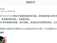 vivo WATCH GT 2微信手表版更新：支持语音转文字