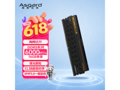 阿斯加特DDR5 6000内存16GB