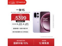 一加15 5G手机雾光紫特惠