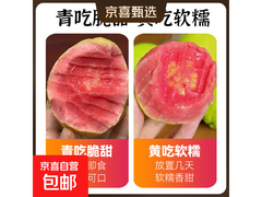 广东红心芭乐2斤仅12.67元，满10元9.9折速来！