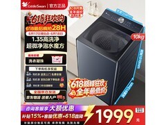 小天鹅小乌梅10KG波轮洗衣机