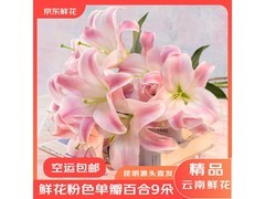 京东9朵粉色香水百合，到手仅19.9元